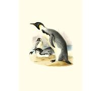 Carnet - Erebus et Terror en Antarctique