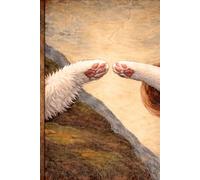 Carnet - Les chats de la création: Journal artistique inspiré de la fresque divine… version féline - 120 pages lignées