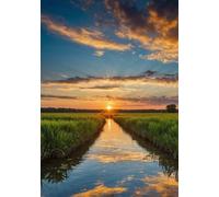 Carnet Lever de Soleil: Format A5, 240 Pages Blanches, Couverture Brillante