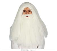 CARNEVALE HALLOWEEN PARRUCCA E BARBA STREGONE MAGO LEONARDO 4039