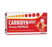 CARNIDYN BOOST 10 FLACONCINI