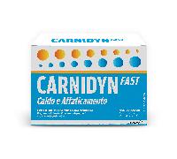 CARNIDYN FAST 12 BUSTINE