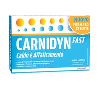 CARNIDYN FAST 12 BUSTINE