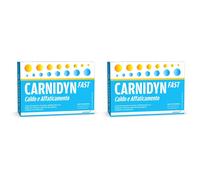 CARNIDYN FAST Caldo e Affaticamento. 2x20x6 g Bustina