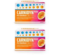Carnidyn Plus Bustine Gusto Passion Fruit 2x20x5,3 g Granuli