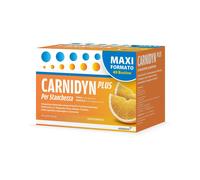 Carnidyn Plus Integratore Alimentare con Carnitina Zinco e Vitamina B5 Supporto