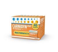 Carnidyn Plus Integratore Alimentare con Carnitina Zinco e Vitamina B5 Supporto