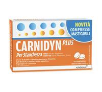 ALFASIGMA SpA CARNIDYN PLUS 18CRP MASTICABIL