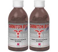 CARNITON B12 pet 2x80 g Compresse