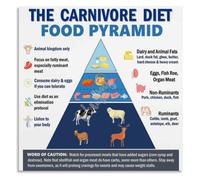 Carnivore Diet Food List Poster Zero Carb Eating Guide Decor