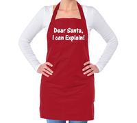 Caro Babbo , i Can Spiegare Unisex Adulti Grembiule - Natale Segreto Natale