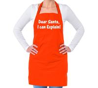 Caro Babbo , i Can Spiegare Unisex Adulti Grembiule - Natale Segreto Natale