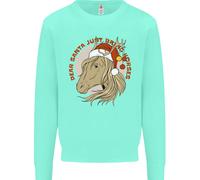 Caro Babbo Natale Divertente Equestre Cavallo Natale Felpa Per Bambini