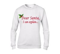 Caro Babbo Natale, i Can Explain Natale Divertente Donna Felpa Maglione