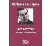 Caro Goffredo. Dedicato a Goffredo Parise