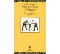 Caro professor Heidegger