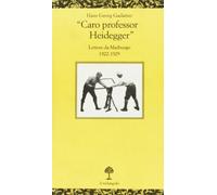 Caro professor Heidegger