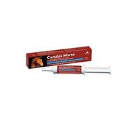 CAROBIN HORSE PASTA APPETIBILE SIRINGA 100 G