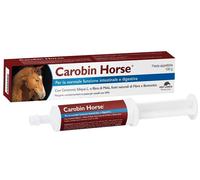 CAROBIN HORSE PASTA 100G