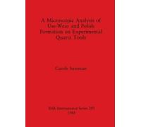 Carole Sussman A Microscopic Analysis of Use, Wear and Polish Format (Tascabile)