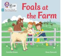 Caroline Green Foals at the Farm (Tascabile)