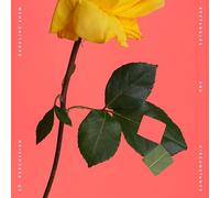 Caroline Shaw Caroline Shaw: Rectangles and Circumstance (Vinyl LP) 12" Album