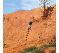 Caroline Skydiving onto the library roof / Everything for everyone (Vinyl LP)