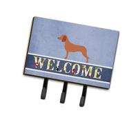 """"Caroline's Treasures Bavarian Mountain Hound Welcome Wall Hook Triple Multicolor""""