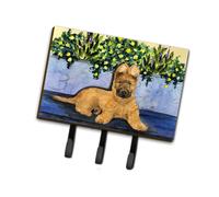 """"Caroline's Treasures SS8180TH68 Briar Leash Holder or Key Hook Large Multicolor""""