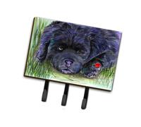 """"Caroline's Treasures SS8272TH68 Newfoundland Leash Holder or Key Hook Large Multicolor""""