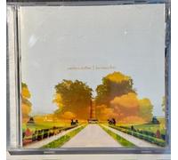 Carolyn's Mother - Too Many Fires