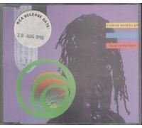 Caron Wheeler - Livin' in the light [Single-CD]