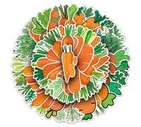 Carota Adesivi Carrot Stickers 50 Pezzi Skateboard Graffiti Adesivi Moto Bicicletta Snowboard Bagagli Auto Valigia per Bambini e Ragazzi Impermeabile Vinile Decals