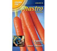 CAROTA BERLICUM IN NASTRO