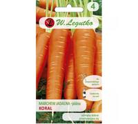 Carota commestibile Koral - tardiva