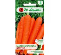 Carota commestibile Nantes 3 (Nantes) - media precoce