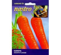 CAROTA GIGANTE FLAKKEE IN NASTRO