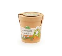 Carote in una tazza di "The City Gardeners" | Set per la coltivazione di carote in una tazza | Contiene tutto il necessario per la coltivazione | Regalo di Pasqua per bambini | Idea regalo per bambini