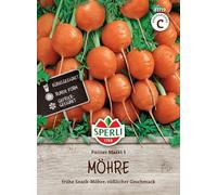 Carote, 'mercato Parigi 5'