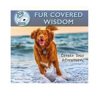 Carousel Calendars, Dog is Good Fur Wisdom, calendario da parete 2026, 30,5 x 30,5 cm, calendario 16 mesi con rilegatura pinzata