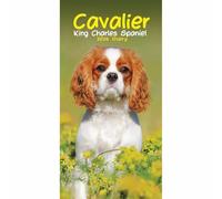 Carousel Worldwide, Agenda 2026, sottile, motivo: Cavalier King Charles Spaniels