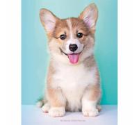 Carousel Worldwide, Agenda di fidanzamento 2026, motivo: cuccioli