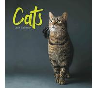 Carousel Worldwide, Calendario da parete 2026 Wire-o Cats