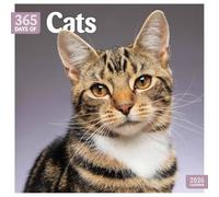 Carousel Worldwide, Calendario da parete quadrato 2026 con gatti, 365 giorni
