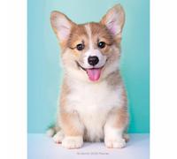 Carousel Worldwide, Puppies 2026 Engagement Diary Planner