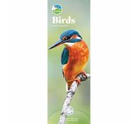 Carousel Worldwide, RSPB Birds - Calendario da parete sottile 2026