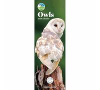 Carousel Worldwide, RSPB - Calendario da parete sottile 2026, motivo: gufi