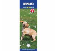 Carousel Worldwide, RSPCA - Calendario da parete sottile 2026 I Love Puppies