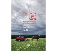 Carovana per corvi. Il miracoloso viaggio del professor Todorov