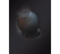 CARPASSION 10058 Pomello cambio